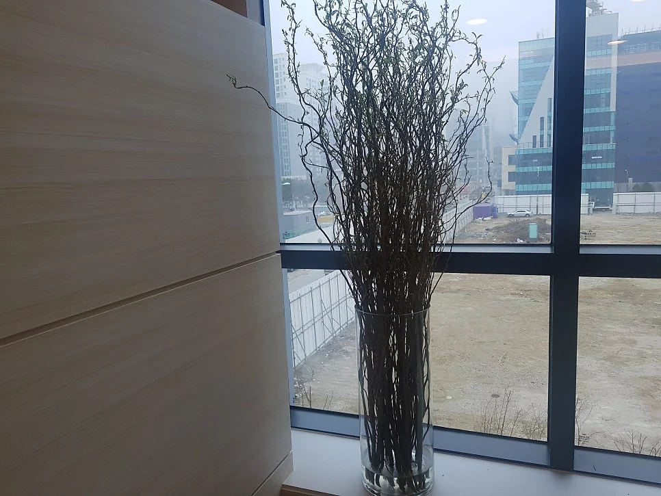 쇼그렌증후군 진단 검사 안내 이미지