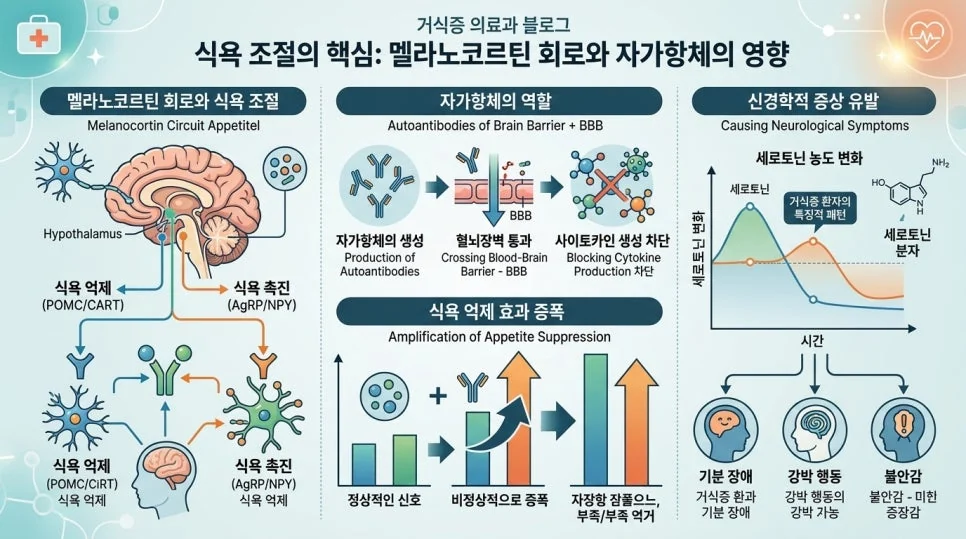 이미지 6