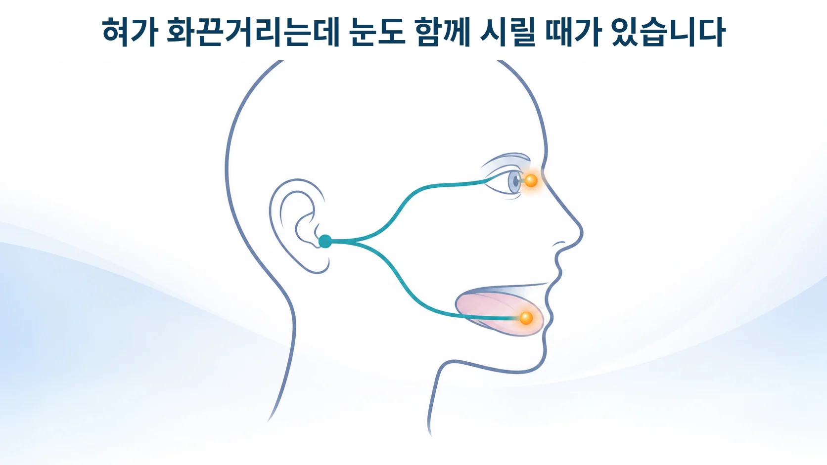 혀와 눈이 같은 신경 줄기로 이어져 있다는 것을 보여주는 개념 그림