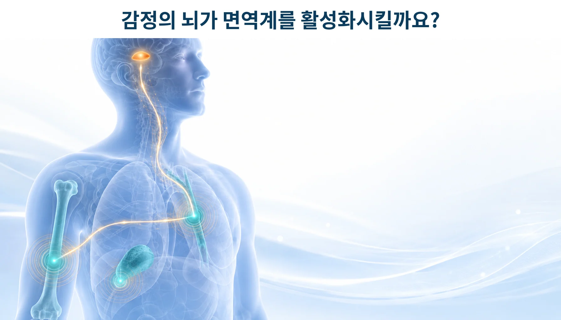 감정을 다루는 뇌 부위에서 시작된 신호가 온몸의 면역기관으로 퍼지는 모습을 형상화한 개념 그림