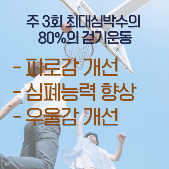이미지 2