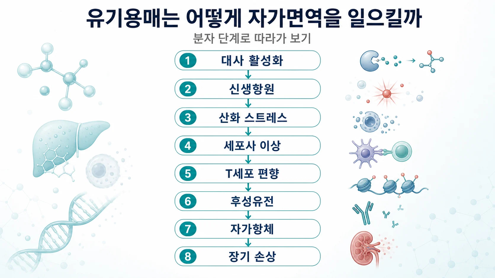 유기용매가 자가면역질환을 유발하는 분자 단계를 정리한 대표 이미지