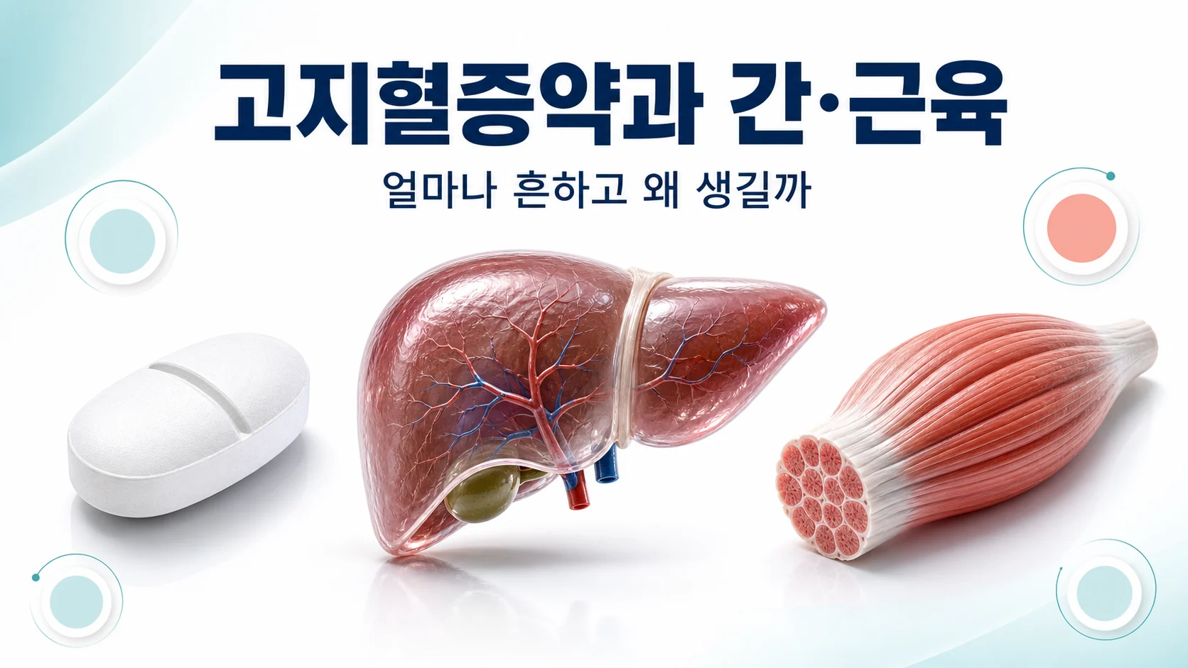 고지혈증약 스타틴 복용과 간 수치 상승, 근육 증상을 주제로 한 안내 이미지