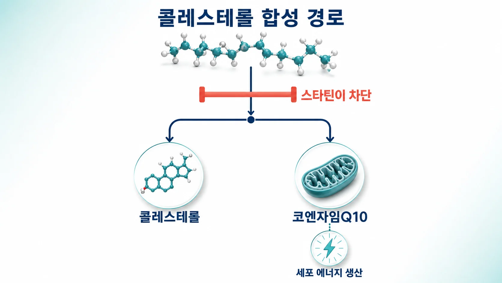 스타틴이 콜레스테롤 합성 경로에서 코엔자임Q10 생성까지 함께 줄이는 과정을 보여 주는 그림