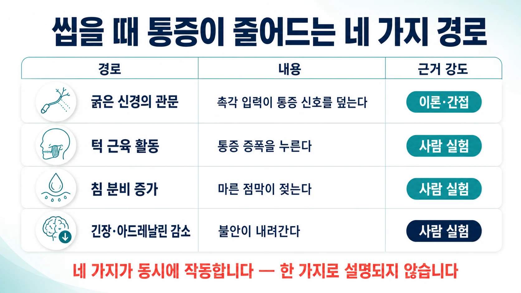 씹을 때 통증이 줄어드는 네 가지 경로와 각 근거의 강도를 정리한 표