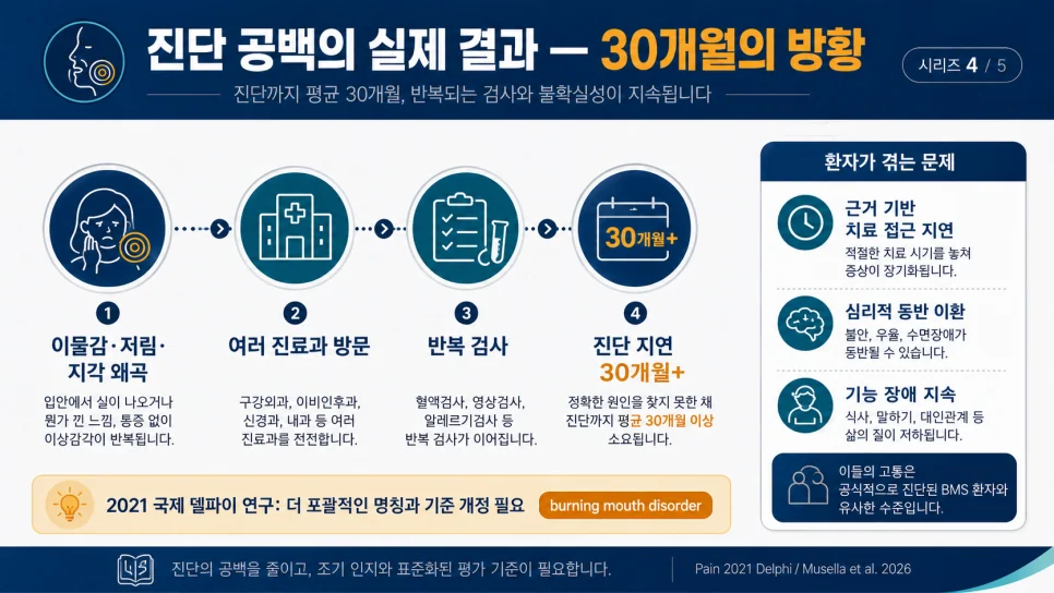 이미지 5