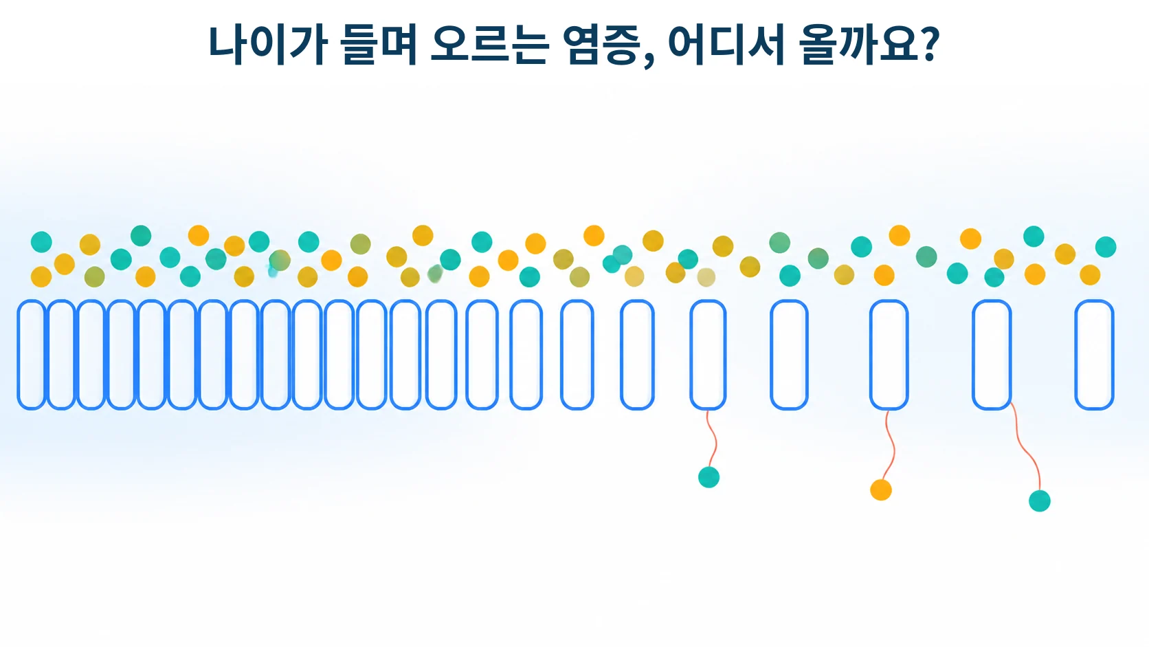 장의 벽이 헐거워지며 안쪽 물질이 새어 나가는 모습을 형상화한 개념 그림