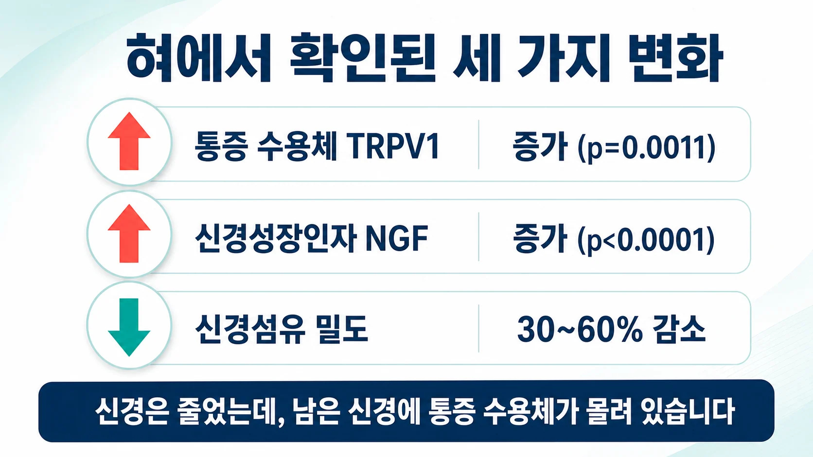 혀에서 확인된 세 가지 변화를 정리한 도표