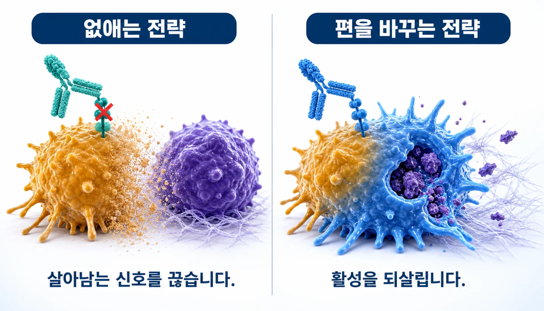 대식세포를 없애는 전략과 편을 바꾸는 전략을 비교한 그림