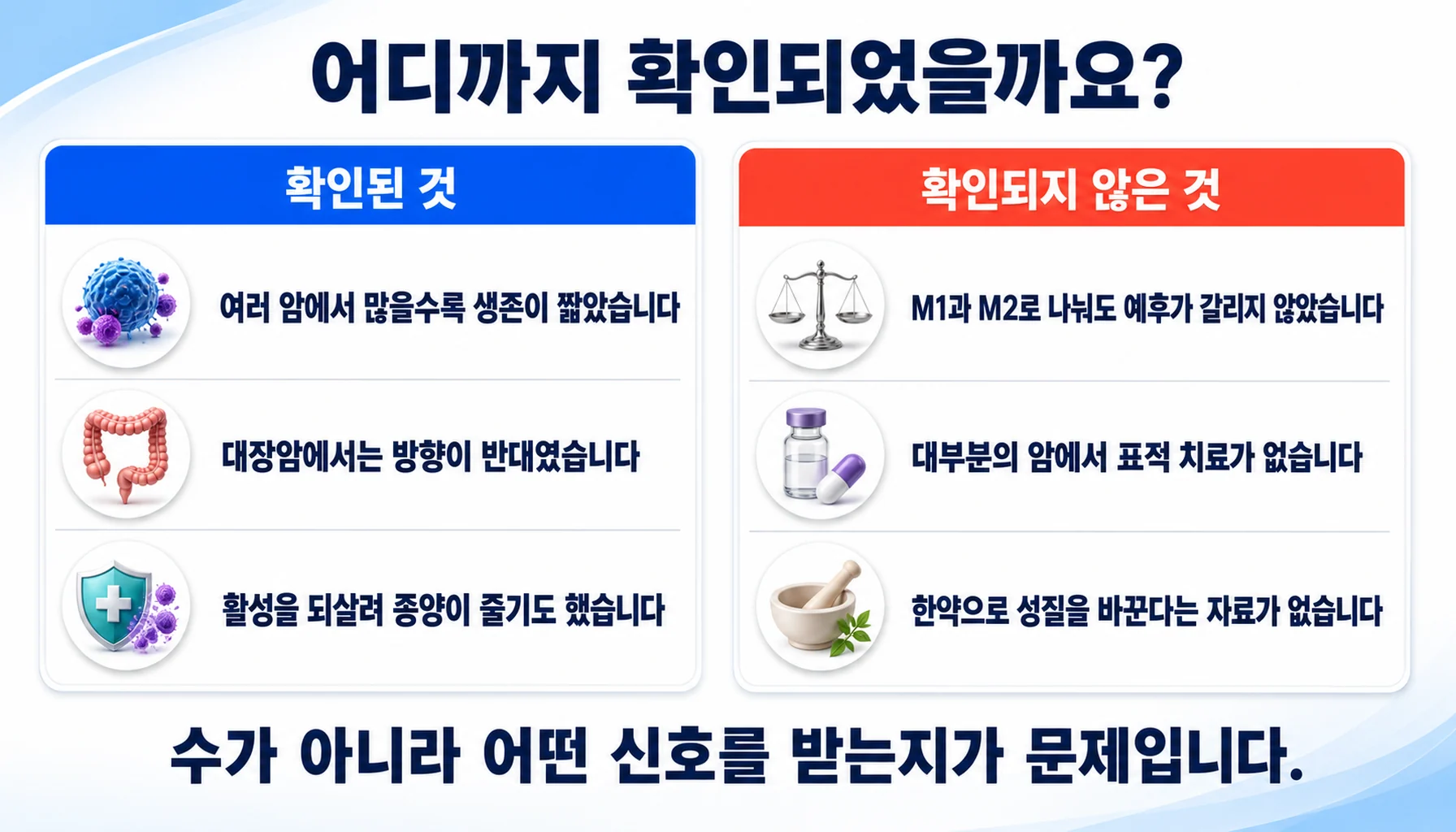 종양관련대식세포에 대해 확인된 것과 확인되지 않은 것을 두 칸으로 정리한 그림