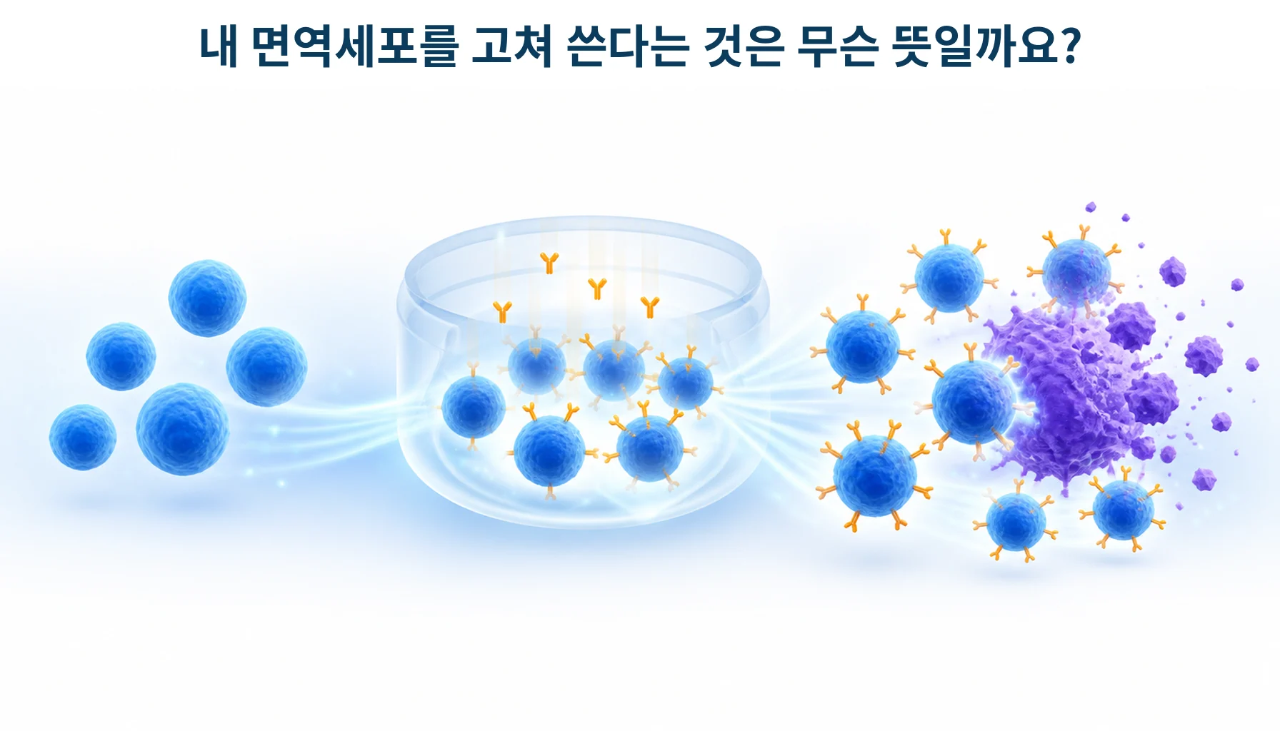 환자의 면역세포를 꺼내 새 수용체를 붙이고 다시 넣는 과정을 형상화한 개념 그림