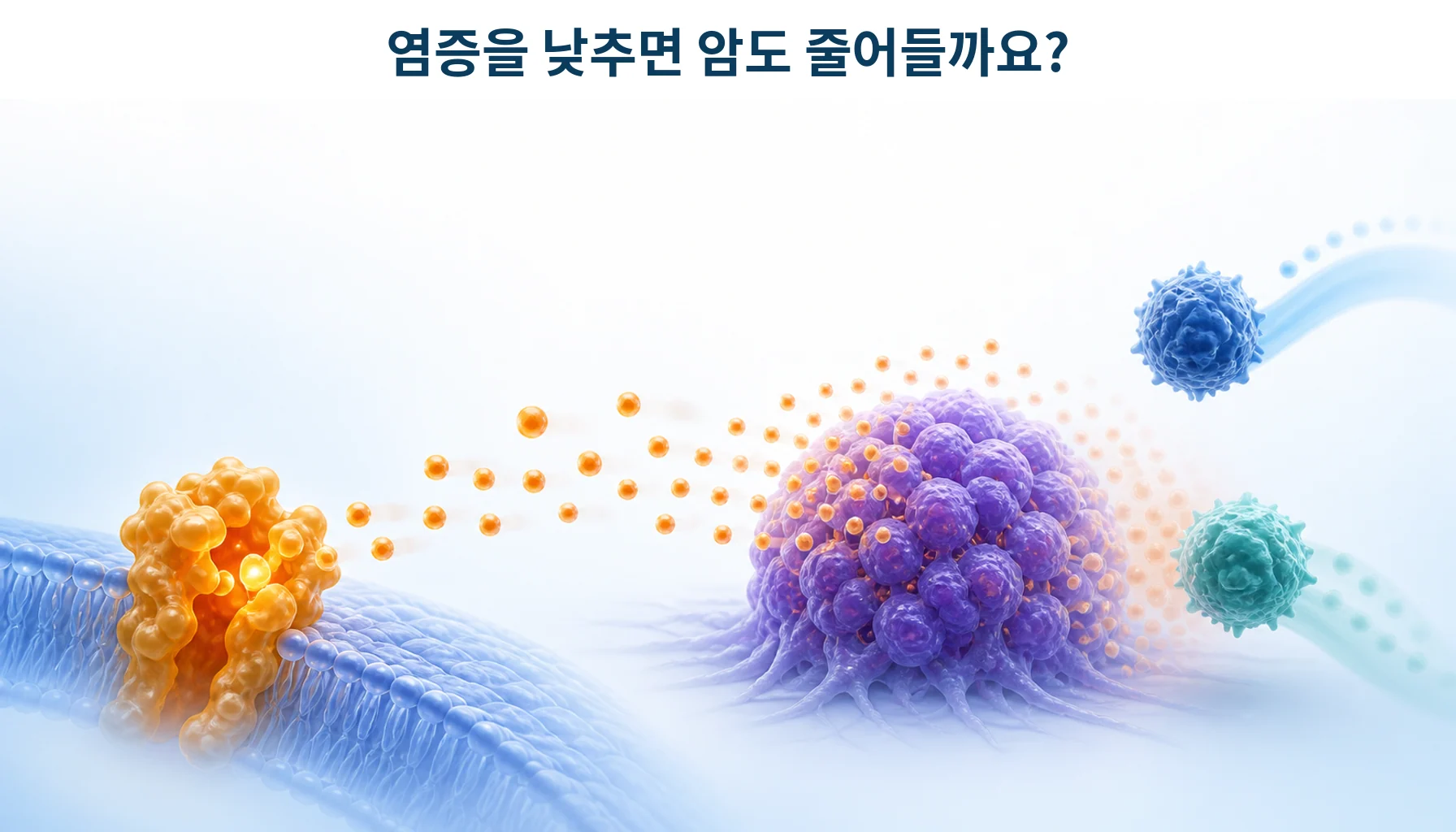 COX-2와 PGE2: 종양 면역과 아스피린의 대장암 예방 근거