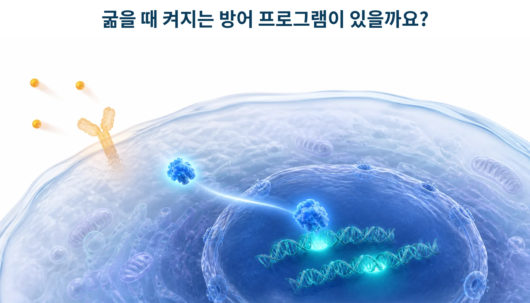 성장 신호가 꺼질 때 켜지는 조절자를 형상화한 개념 그림