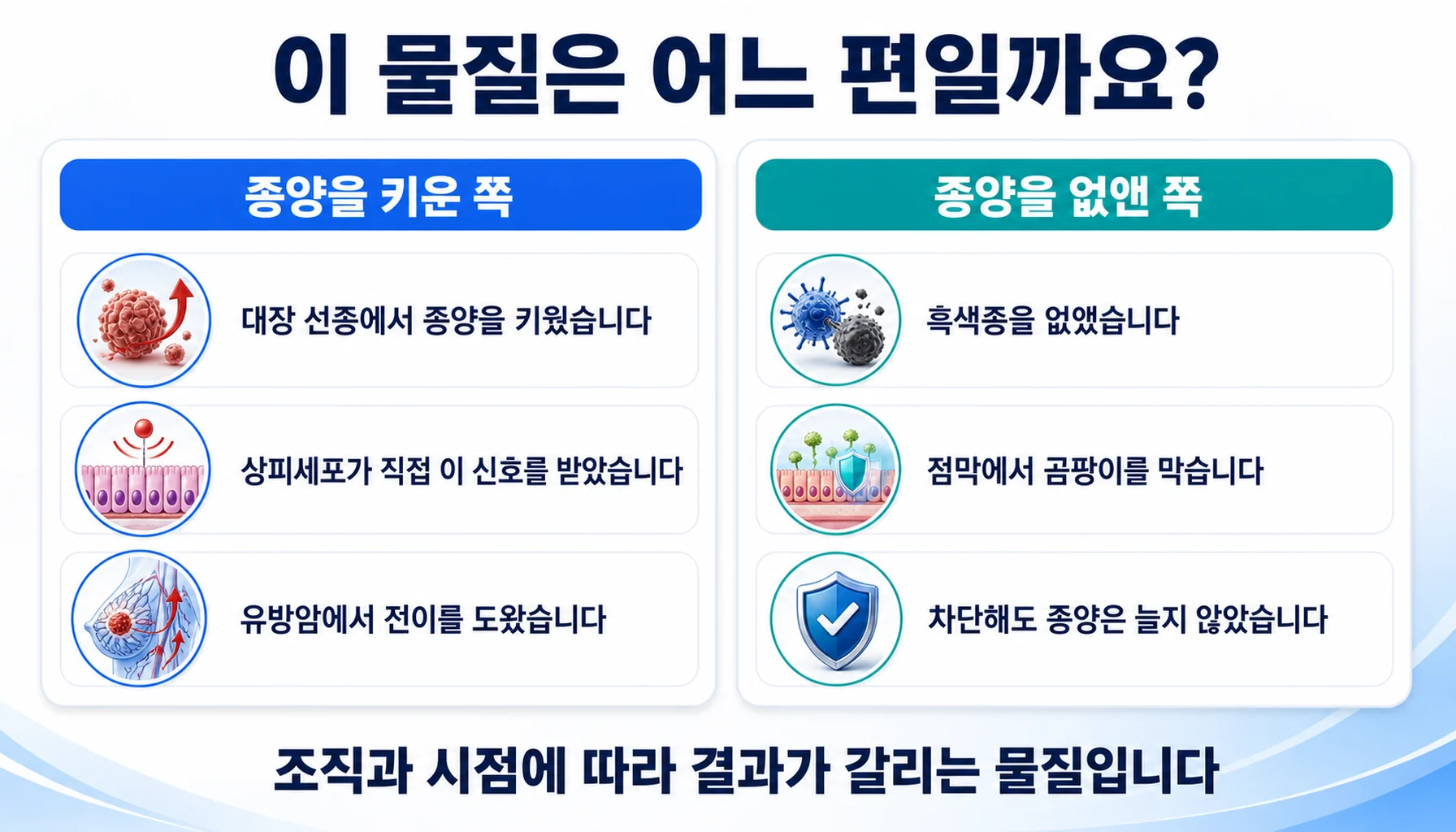 인터루킨-17과 종양에 대해 확인된 것과 확인되지 않은 것을 두 칸으로 정리한 그림
