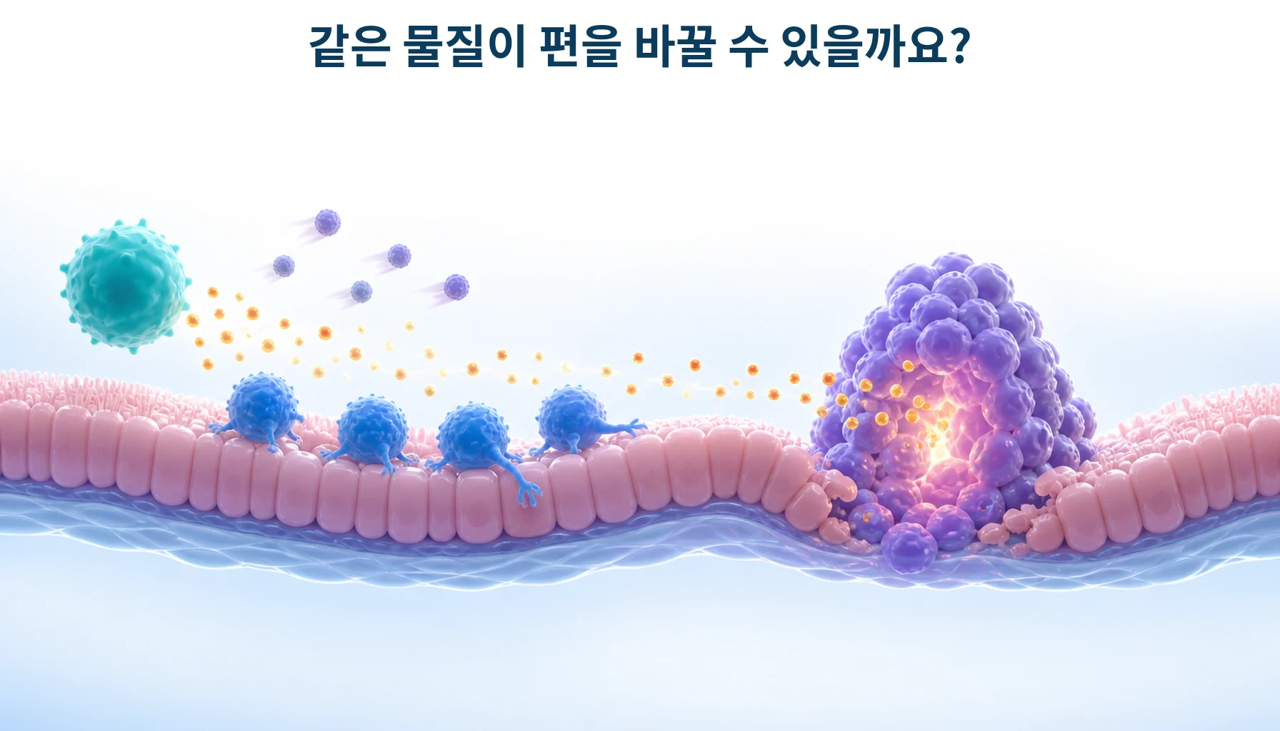 IL-17과 Th17: 점막 방어·종양 면역·차단제 안전성의 차이