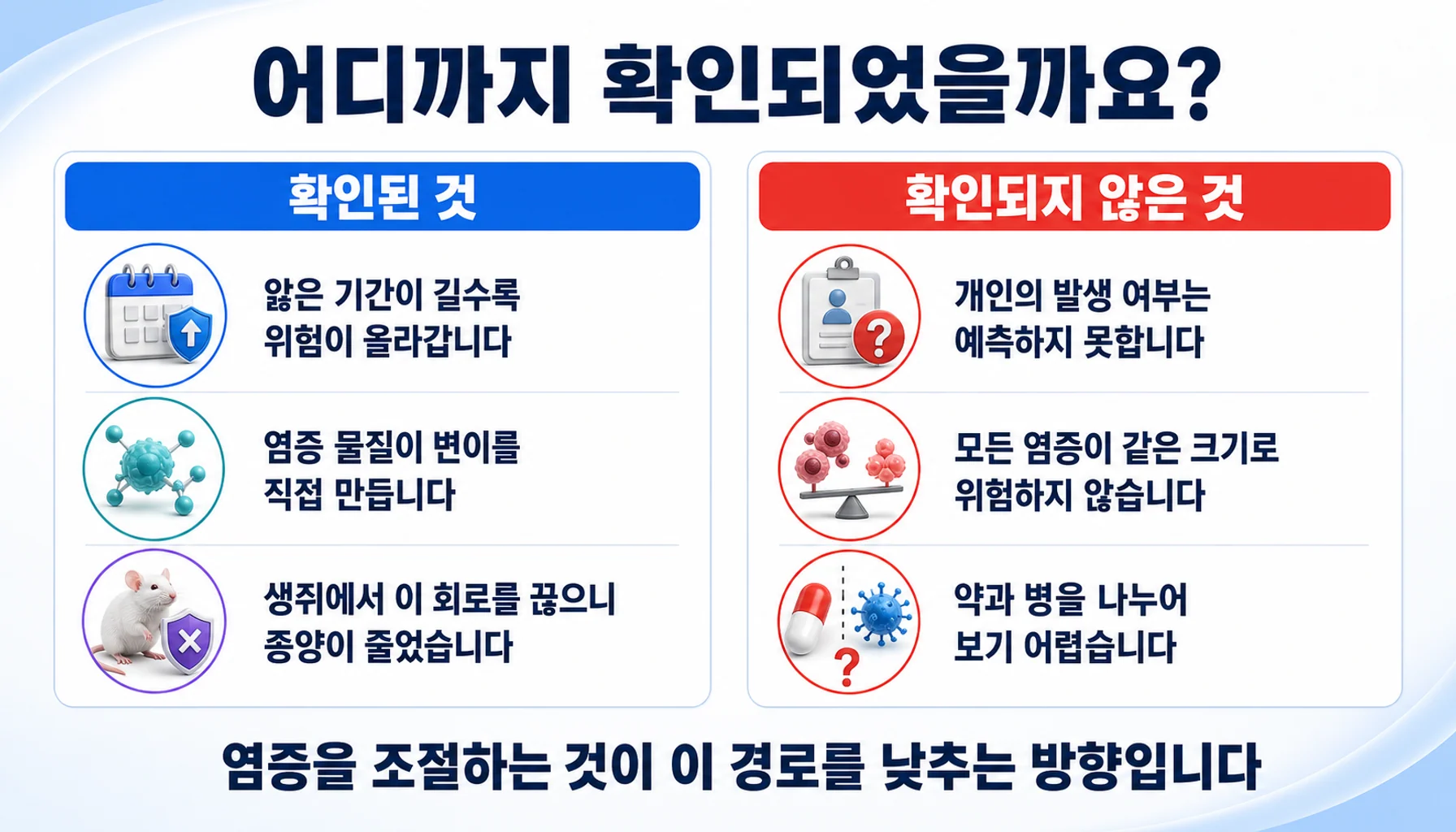 만성 염증과 암에 대해 확인된 것과 확인되지 않은 것을 두 칸으로 정리한 그림