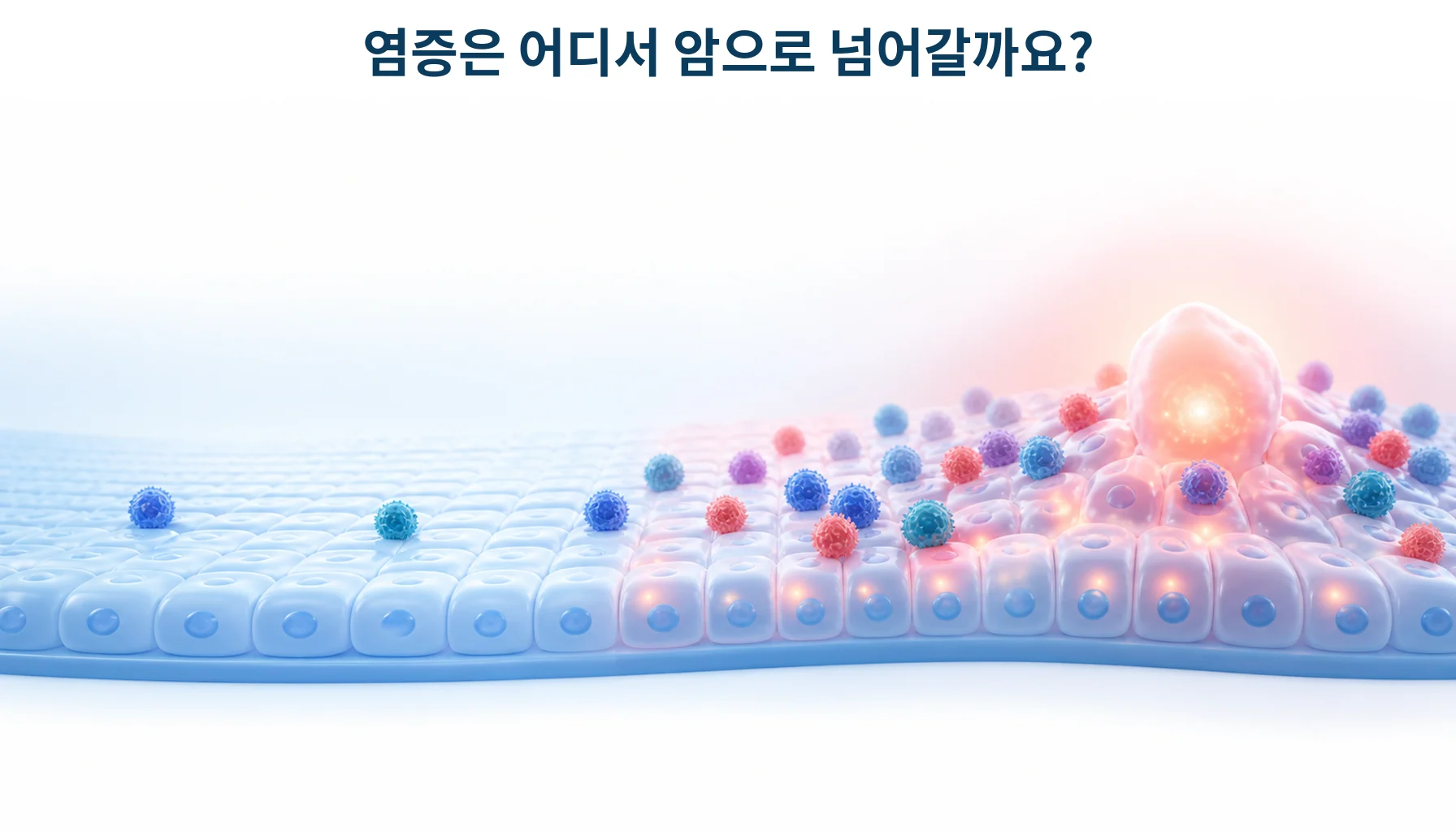 NF-κB와 STAT3: 만성 염증이 암 발생·진행에 관여하는 기전