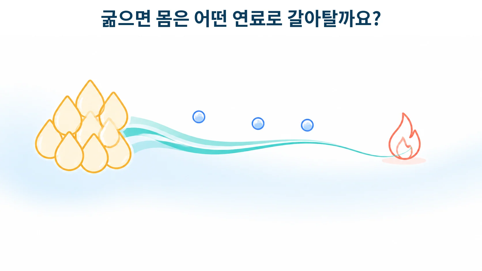저장된 지방이 연료로 바뀌어 쓰이는 전환을 형상화한 개념 그림