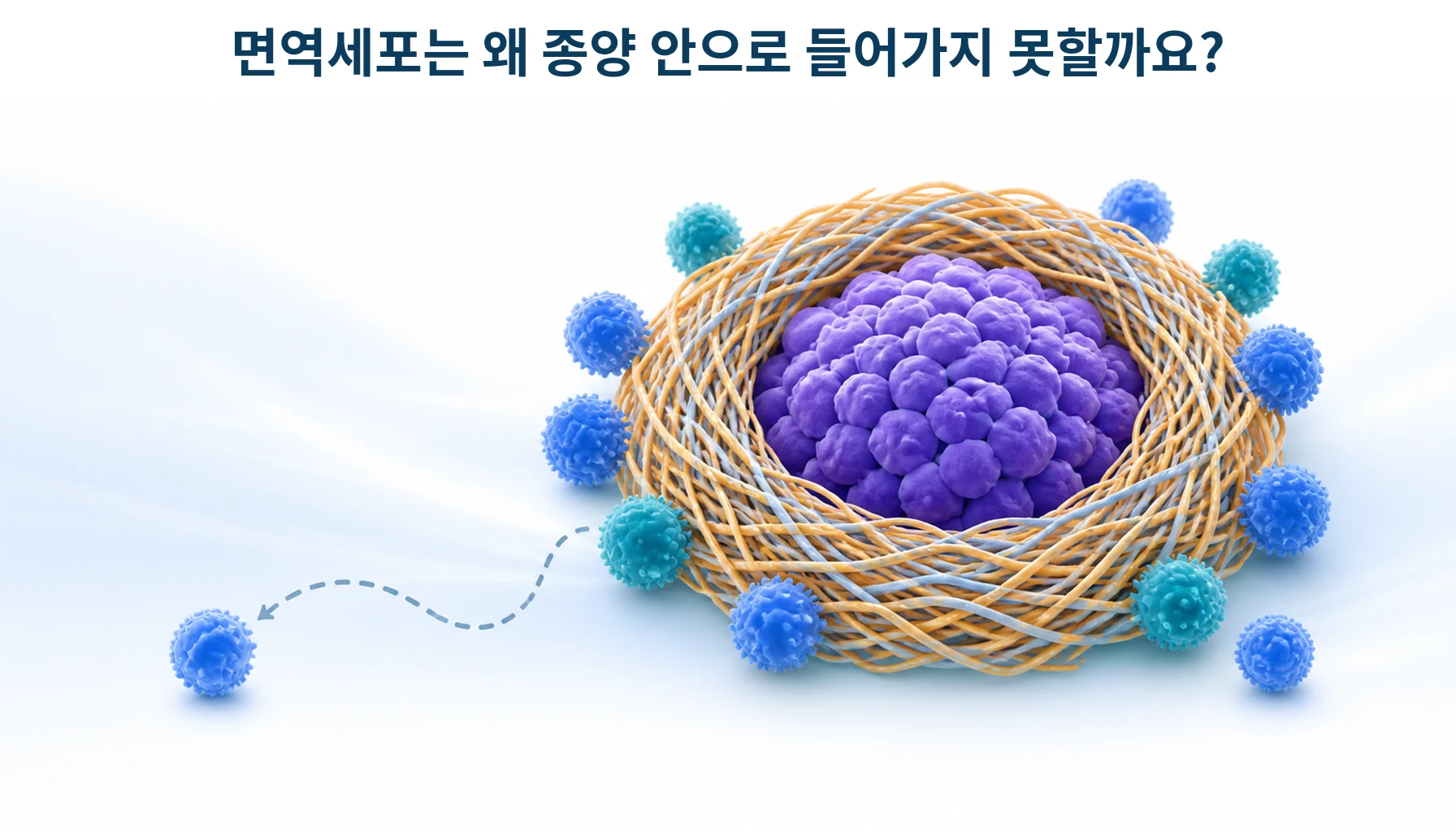 면역세포가 종양 둘레의 기질에 막혀 안으로 들어가지 못하는 모습을 형상화한 개념 그림