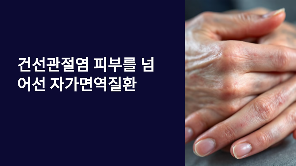 이미지 1