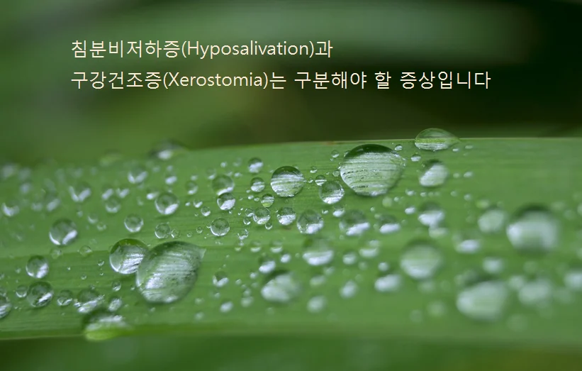 구강건조증과 불안·우울의 관계를 설명하는 인천 이레한의원 안내 이미지