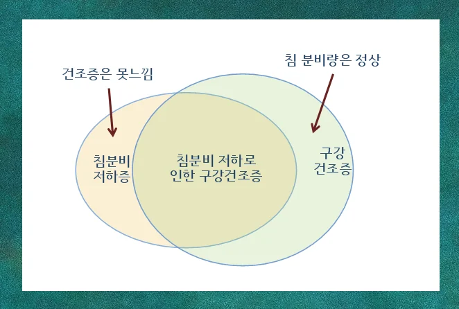 구강건조증과 침분비저하증의 차이를 설명하는 이미지