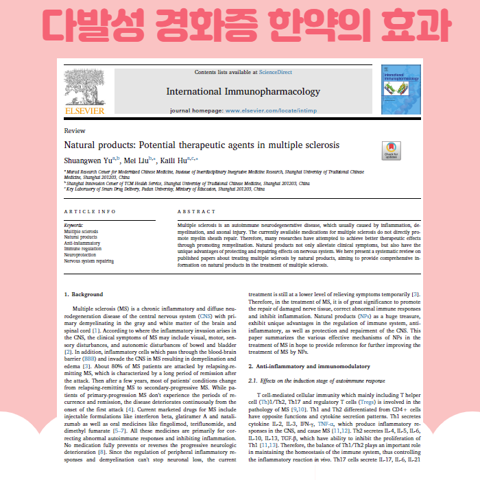 이미지 2