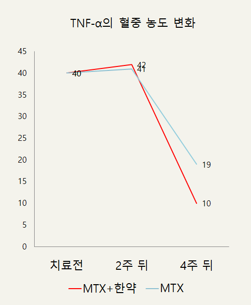 이미지 2