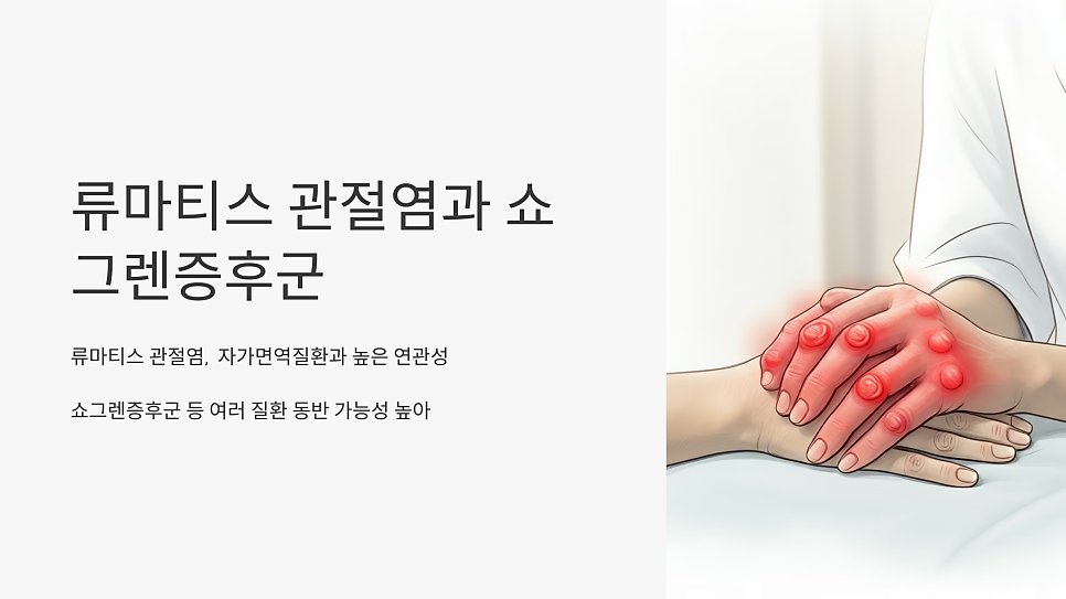 이미지 2