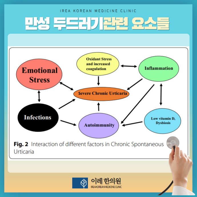 이미지 2