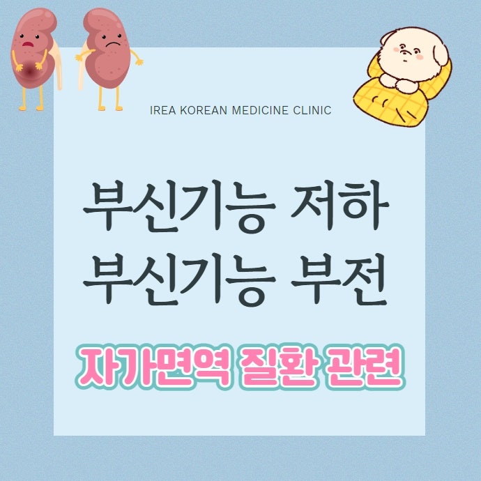 이미지 1