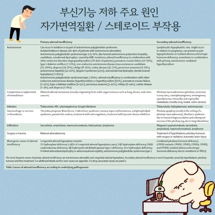 부신기능 부전 저하증 자가면역질환에 나타날 수 있습니다 #2
