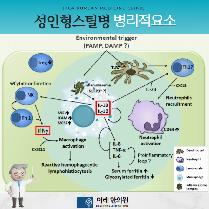 이미지 2