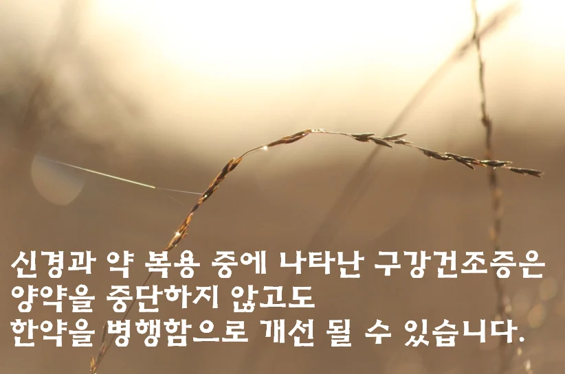 한약 그룹과 대조군의 치료 유효율 비교 결과