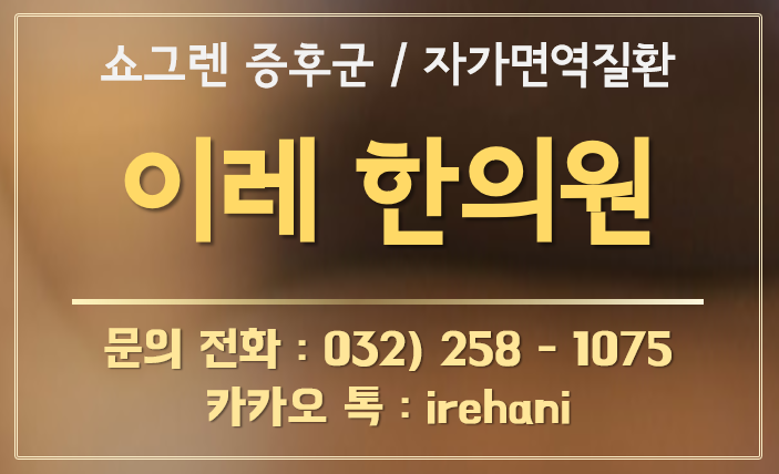 이미지 5