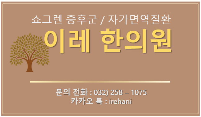 이미지 5