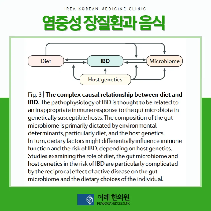 염증성 장 질환 크론병, 궤양성 대장염 평소 식습관 #2