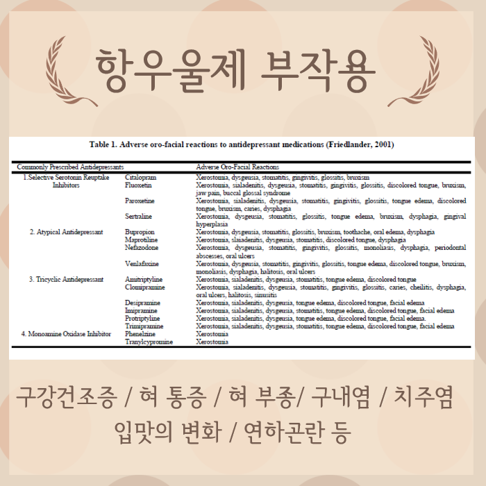 이미지 2
