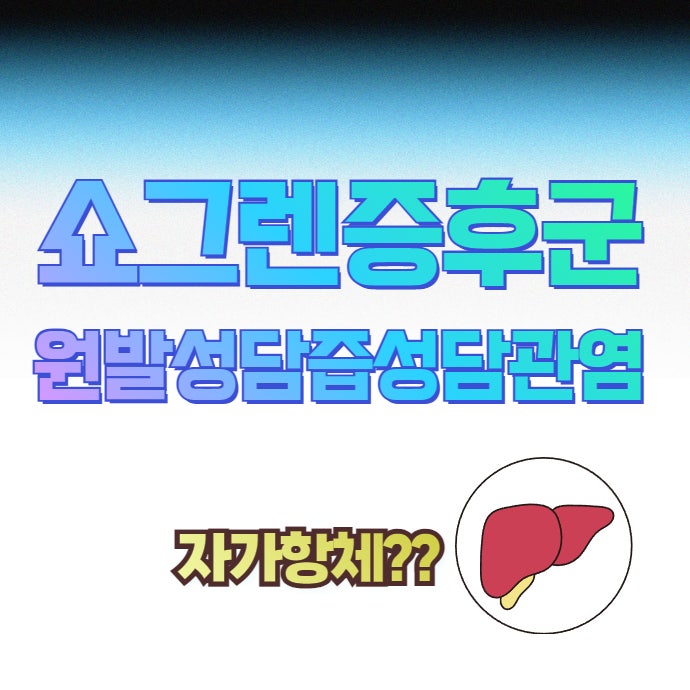 이미지 1