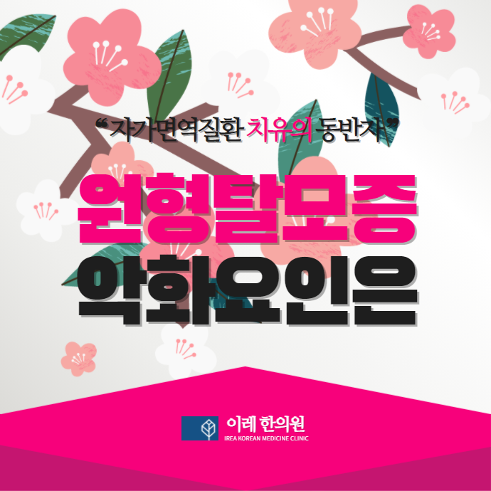 이미지 2