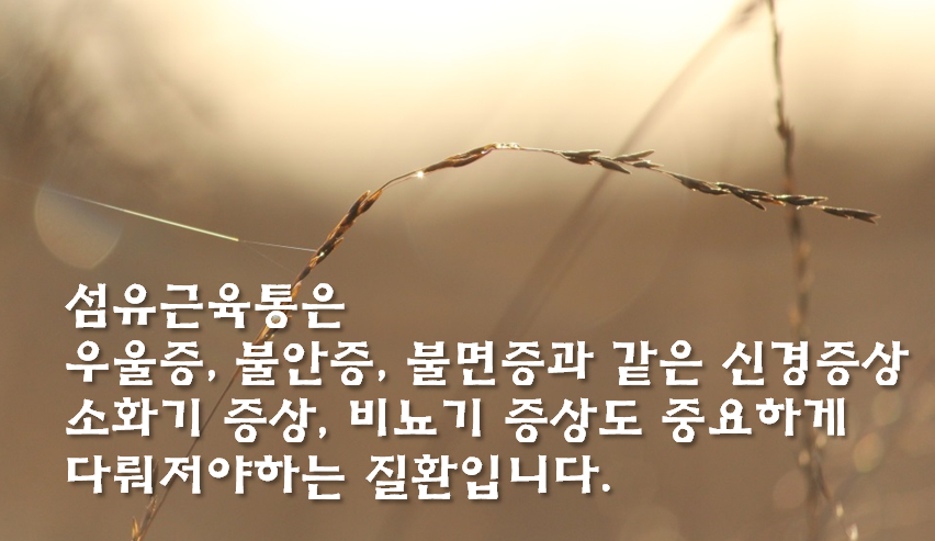 이미지 5