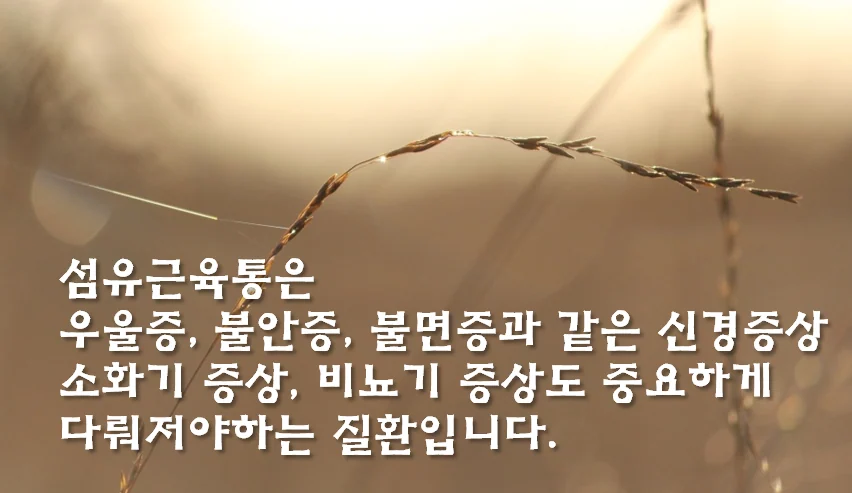 자가면역질환과 섬유근육통의 연관성을 보여주는 이미지
