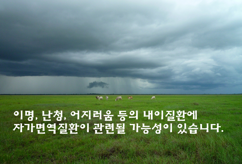 이미지 1