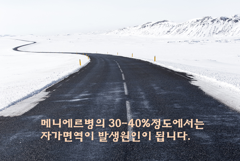 이미지 2