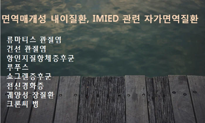 IMIED와 동반되는 전신성 자가면역질환을 정리한 이미지