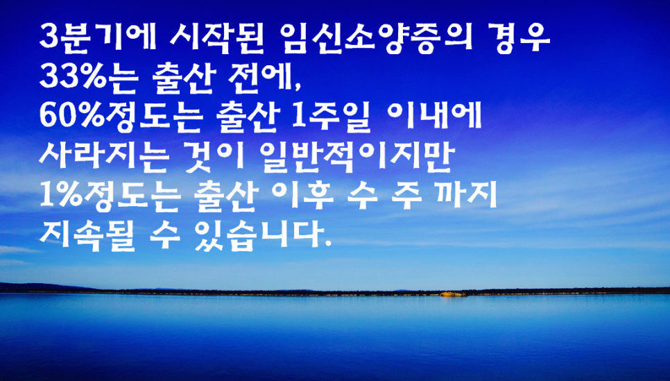 이미지 2