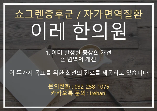 수지상세포의 IL-6 억제와 NF-κB·JNK 경로 조절을 정리한 기전 그림