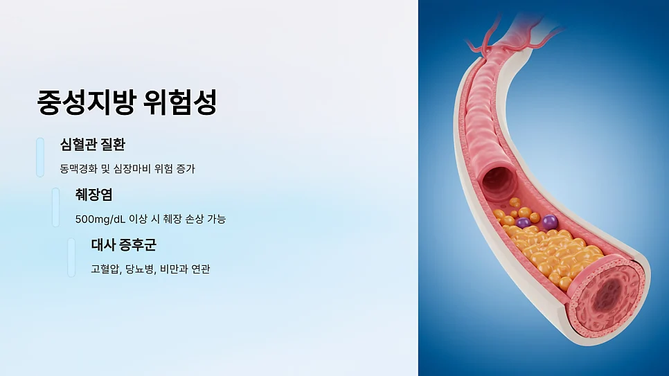 자가면역질환이 있을 때 중성지방 수치가 높아지는 이유 #4