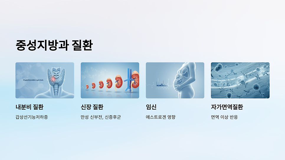 이미지 8