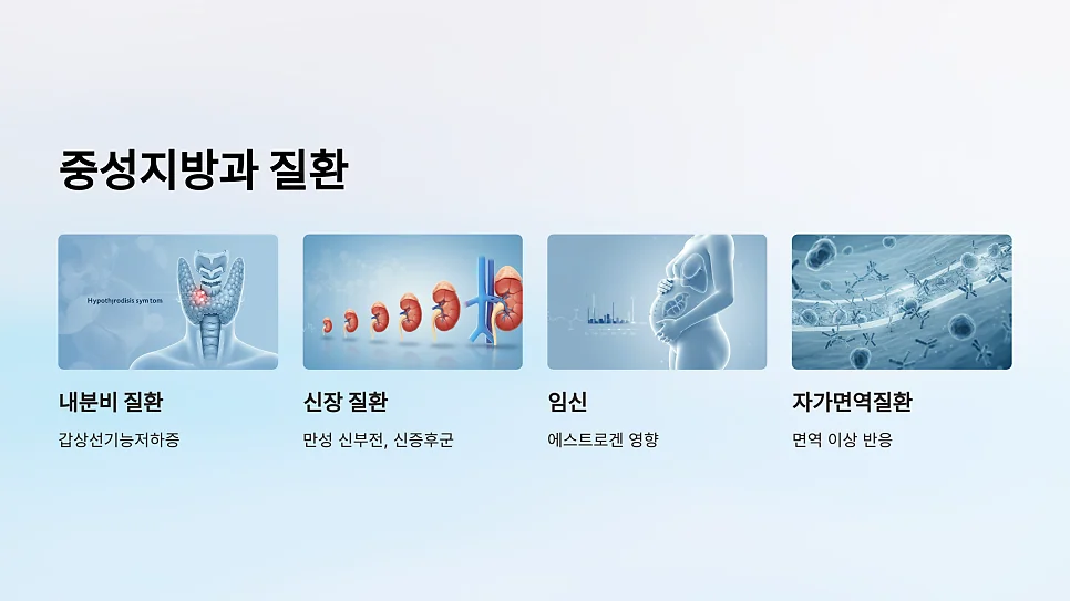 자가면역질환이 있을 때 중성지방 수치가 높아지는 이유 #8